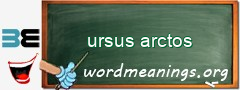 WordMeaning blackboard for ursus arctos